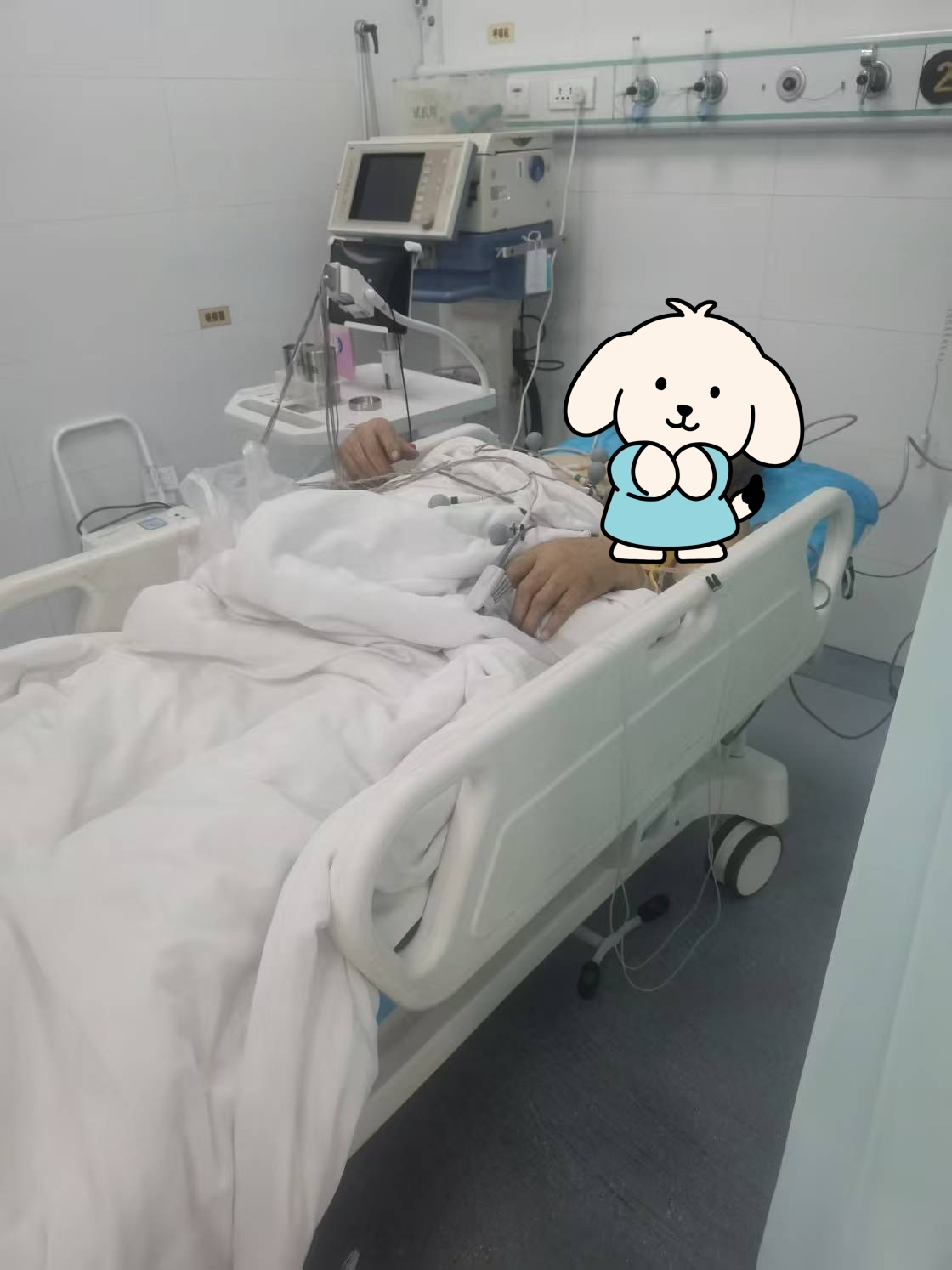 转运图片1.jpg